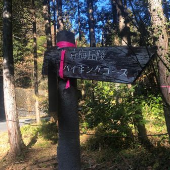 私は今日はこっち。