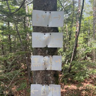 ここからは黒金山を経由して西沢渓谷とか乾徳山の方にも抜けられるし、国師ヶ岳方面から大弛峠へも行けちゃう