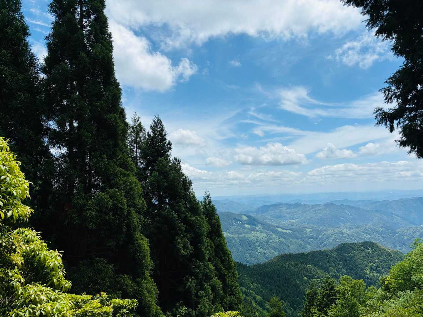 ええね✨