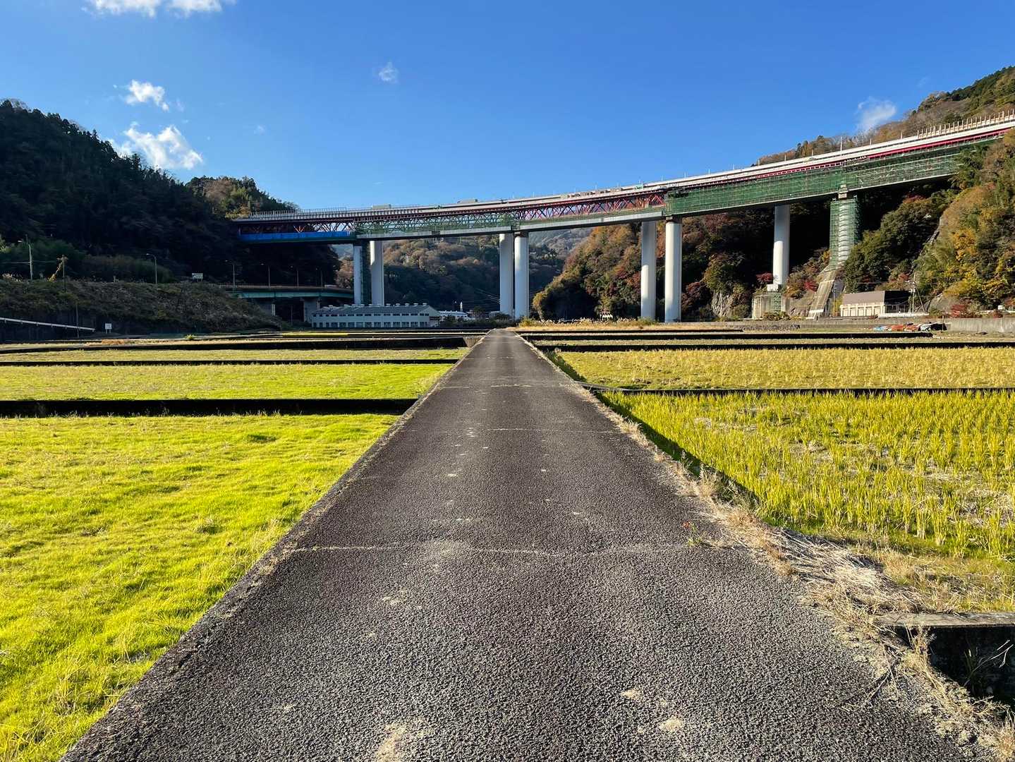 谷峨駅-大野山 往復コースの写真