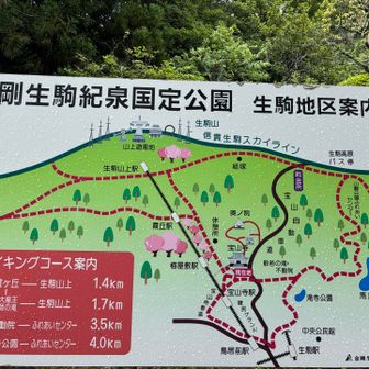 とりあえず遊園地へ