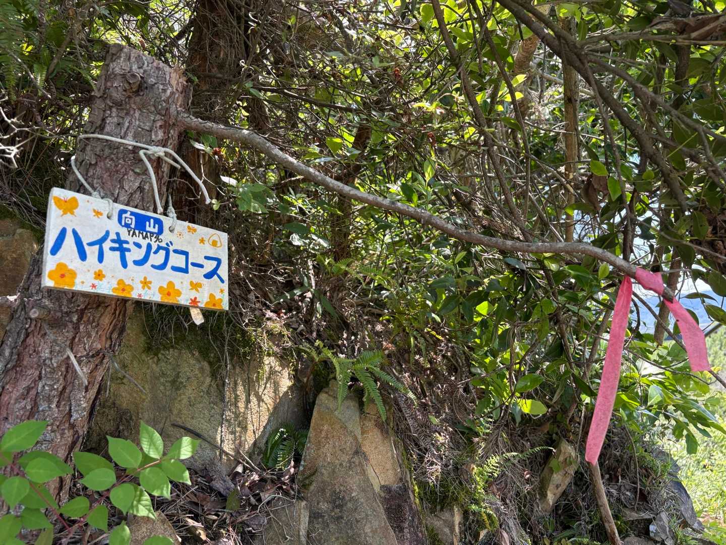 懐かしいな (∗˙꒳˙∗)