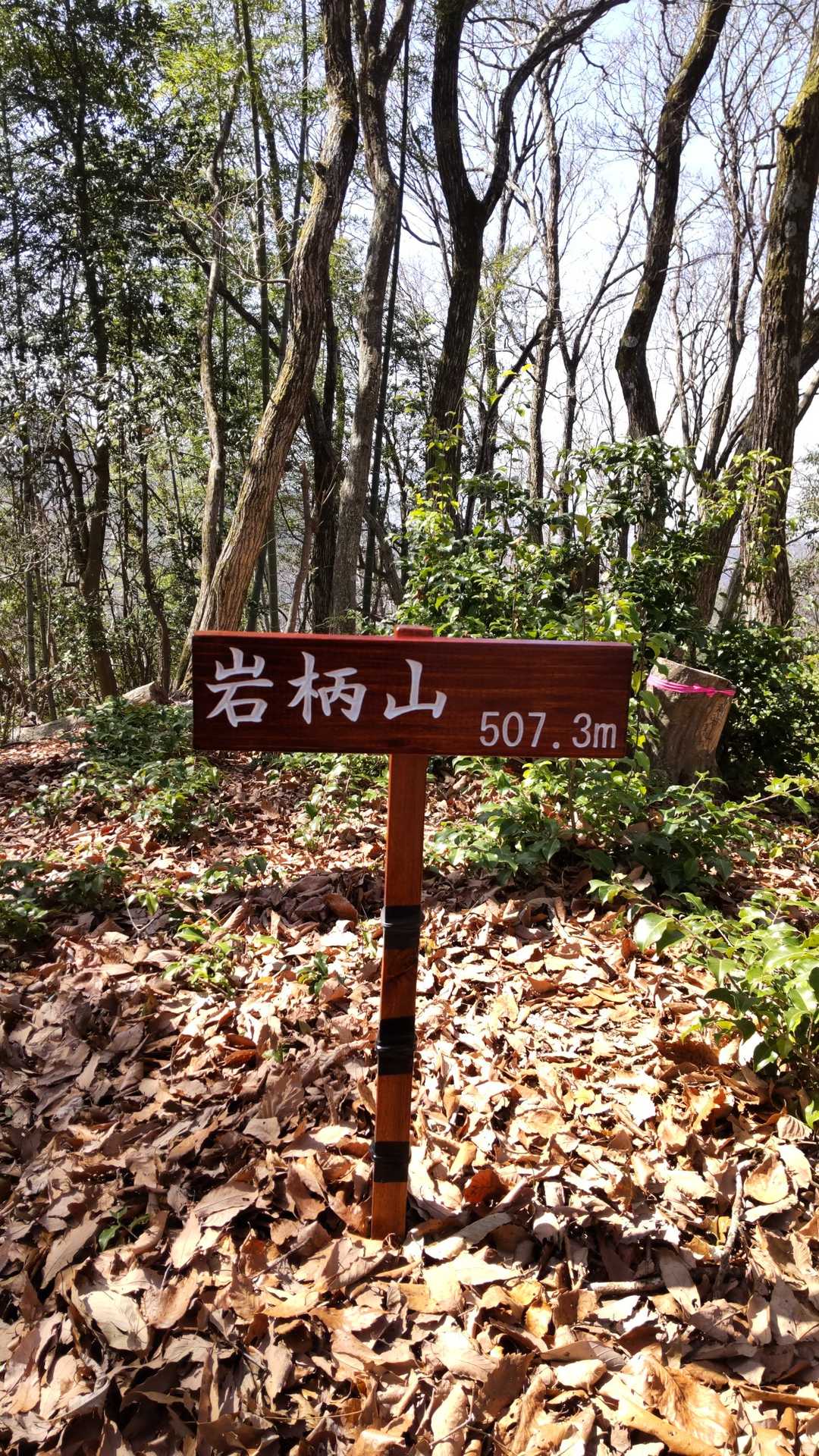 ７５番目の娘です、よろしくお願いいたします。
まりこさん、見に来てください🙏