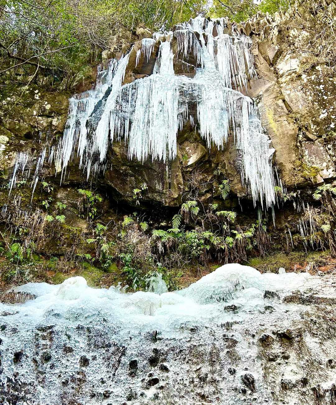 八面山氷瀑巡り 金色渓谷〜修験の滝周回ルート / ピロユキの登山データ