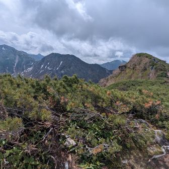 右の麦草岳南峰は2733mで三角点ピークより12m高い