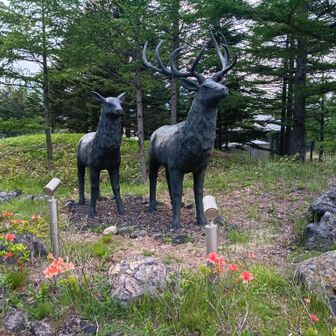 高峰マウンテンパーク