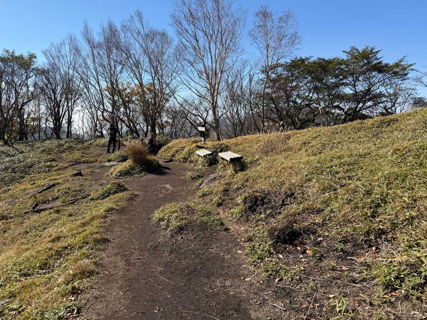 ベンチでまったりしたいけど、帰路を急ぎます💦