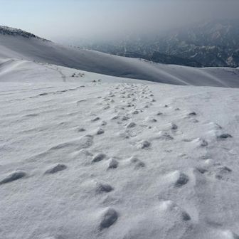 シュカブラ（波紋）だらけ