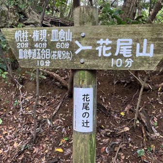 花尾の辻です。