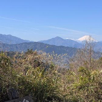 もみじ台から🗻

2時間後に折り返してここをまた通った時には富士山は雲の中に☁️