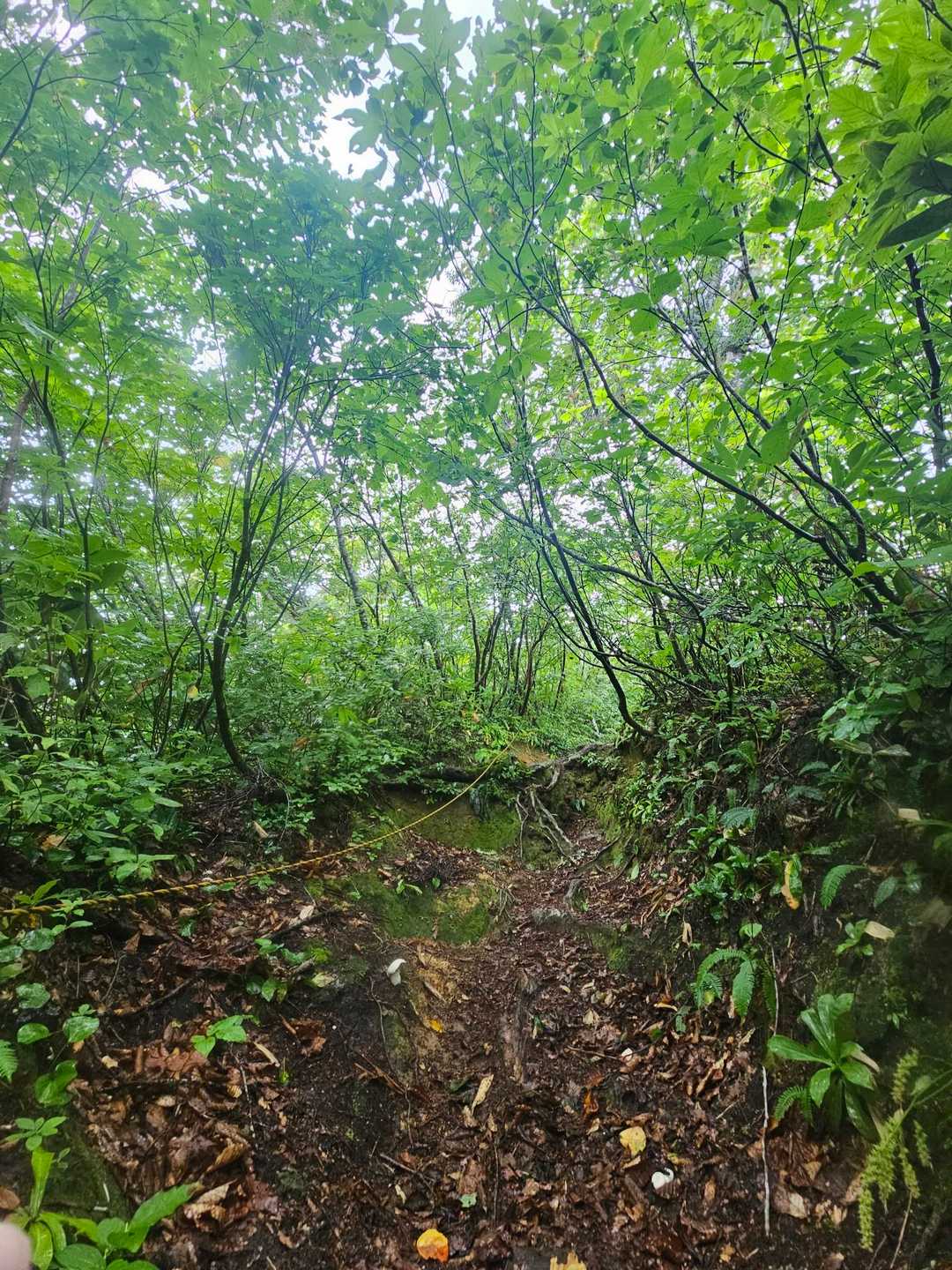 白兎口-奥の院 往復コースの写真