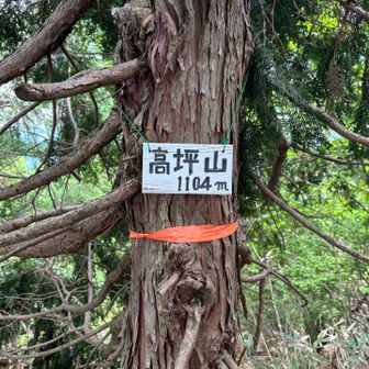 ついでにピークを拾った。山道はしっかり整備されてるが眺望もなく登らなくてよい山だと思う