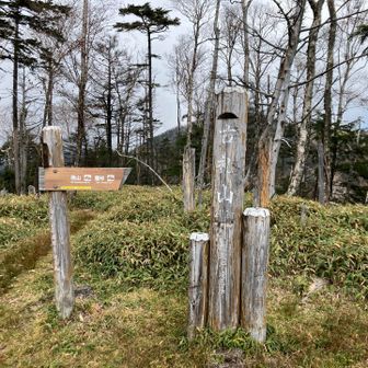 山頂踏破