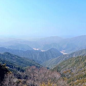 馬の背からの景色が🤩
