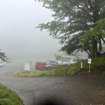 無事下山٩(๑>∀<๑)۶

この後、林道途中で、遺棄された猫の保護をされてた方がいて。
私達も1匹発見して、捕獲を見守ってた間に、足にヒルが😱

帰宅したら、1箇所やられてました😅