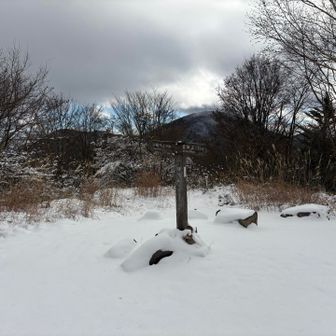 ピークとりに来ました。