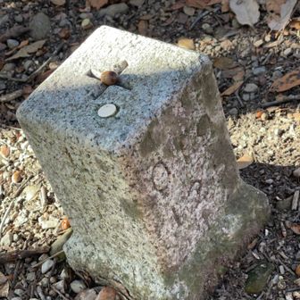 次はもう少し奥のポイントへ