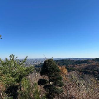 見晴らしも良き😊
遠くにうっすら筑波山も見えました✨