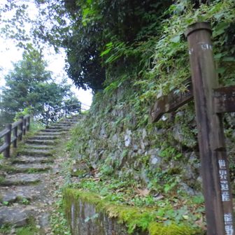 登山口