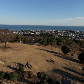 展望台から太平洋