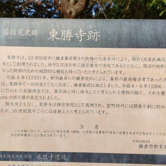 ちょっと拡大しないと見にくいので、そっくり書きますね！

東勝寺は、１３世紀前半に鎌倉幕府第3代執権の北条泰時（ほうじょうやすとき）により、得宗（北条氏嫡流）家の氏寺として創建されました。様々な宗派を学ぶ諸宗兼学の寺院であるとともに、周辺の地形と一体となった防御のための城郭的な機能を持っていたと考えられています。

元弘3年（1333年）、新田義貞らの鎌倉攻めにより、幕府の最高権力者であった北条高時は、東勝寺で一族郎党とともに自害し、鎌倉幕府は滅亡しました。平成8・9年（1996・1997）に行なわれた発掘調査では、幕府滅亡に焼失したと考えられる建物の跡と、それを覆う10数cmの炭の層が発見されました。

焼失後まもなく、東勝寺は禅宗寺院として再興され、室町時代には関東十刹に列せられましたが、16世紀後半ごろには途絶えたと考えられています。

🤔...北条氏の氏寺跡（【東勝寺】跡）と鎌倉幕府滅亡の地なのですね...。