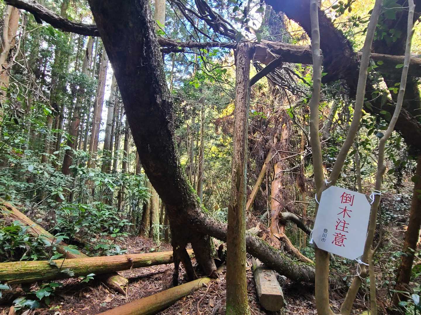 もう倒れちょる