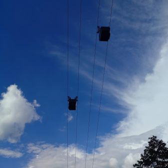 これに乗れば楽ちんなんだけどね〜