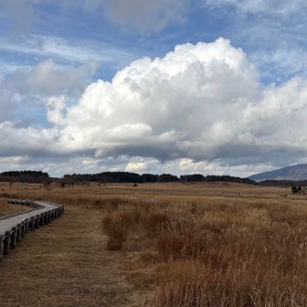 湿原に戻ってきて終了。