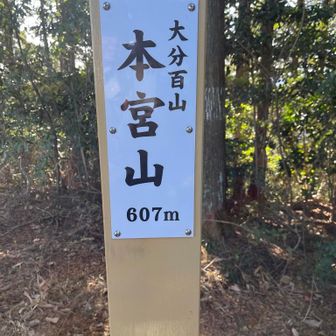 頂上の標が新しくなってました😊🎵