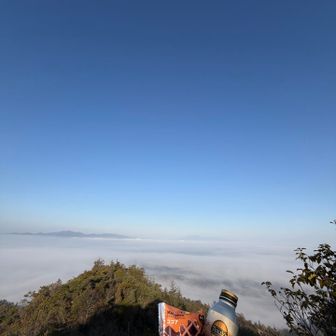今日は雲海が綺麗だった！