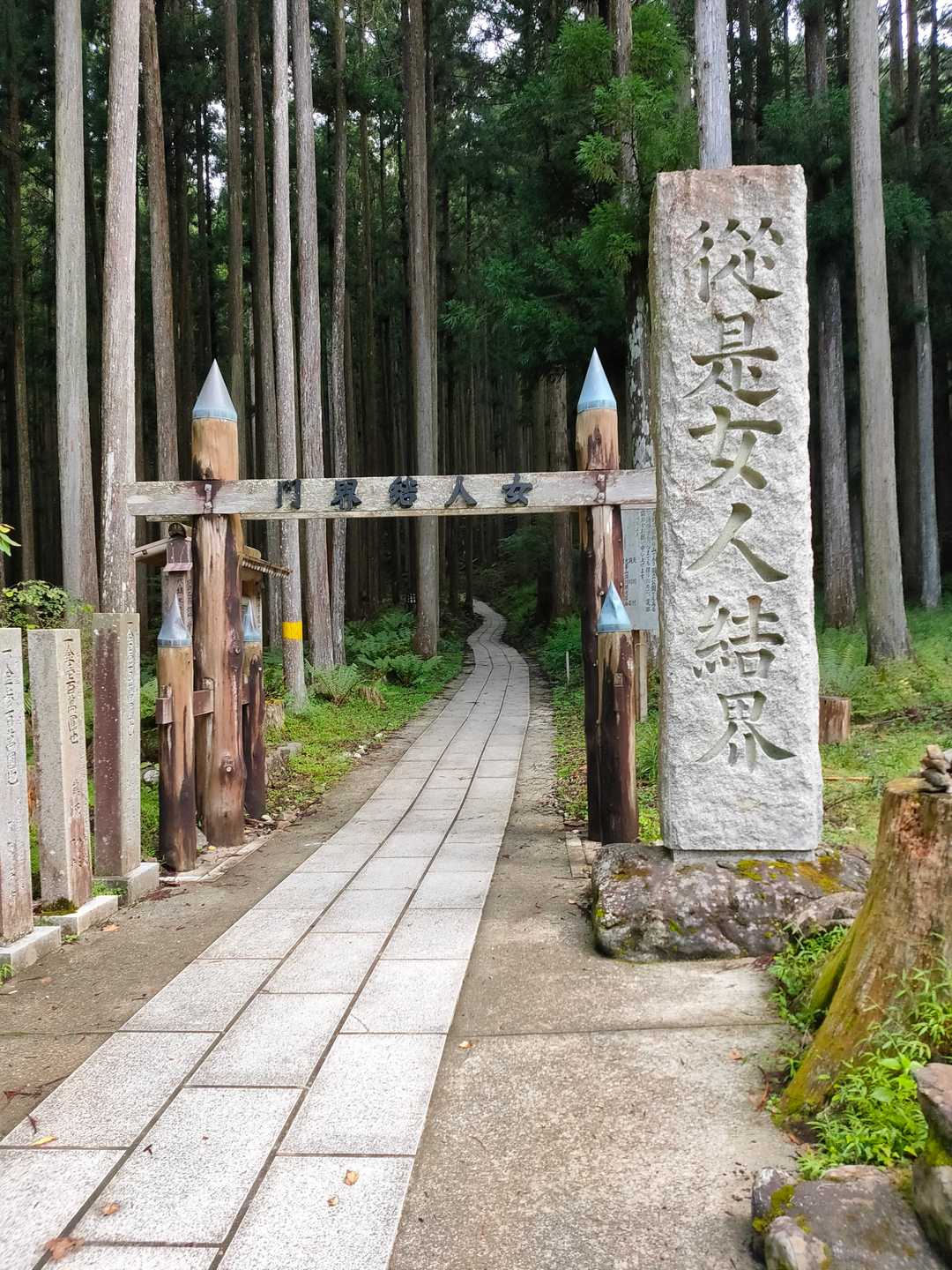 洞辻茶屋-山上ヶ岳 周回コースの写真