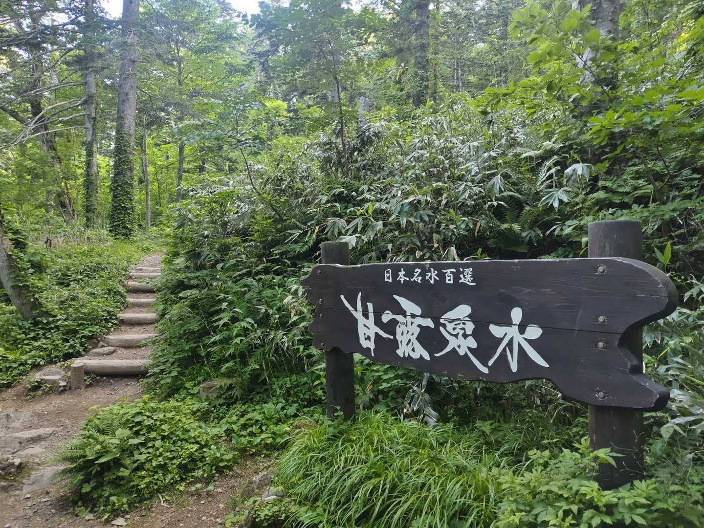 利尻北麓野営場登山口-ポン山-小ポン山 往復コースの写真