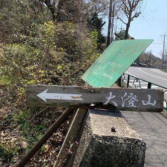 竹藪降りた登山口の真向かいに
大澄山への登山口あります