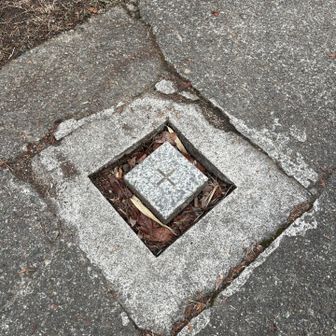 三角点は地中の中