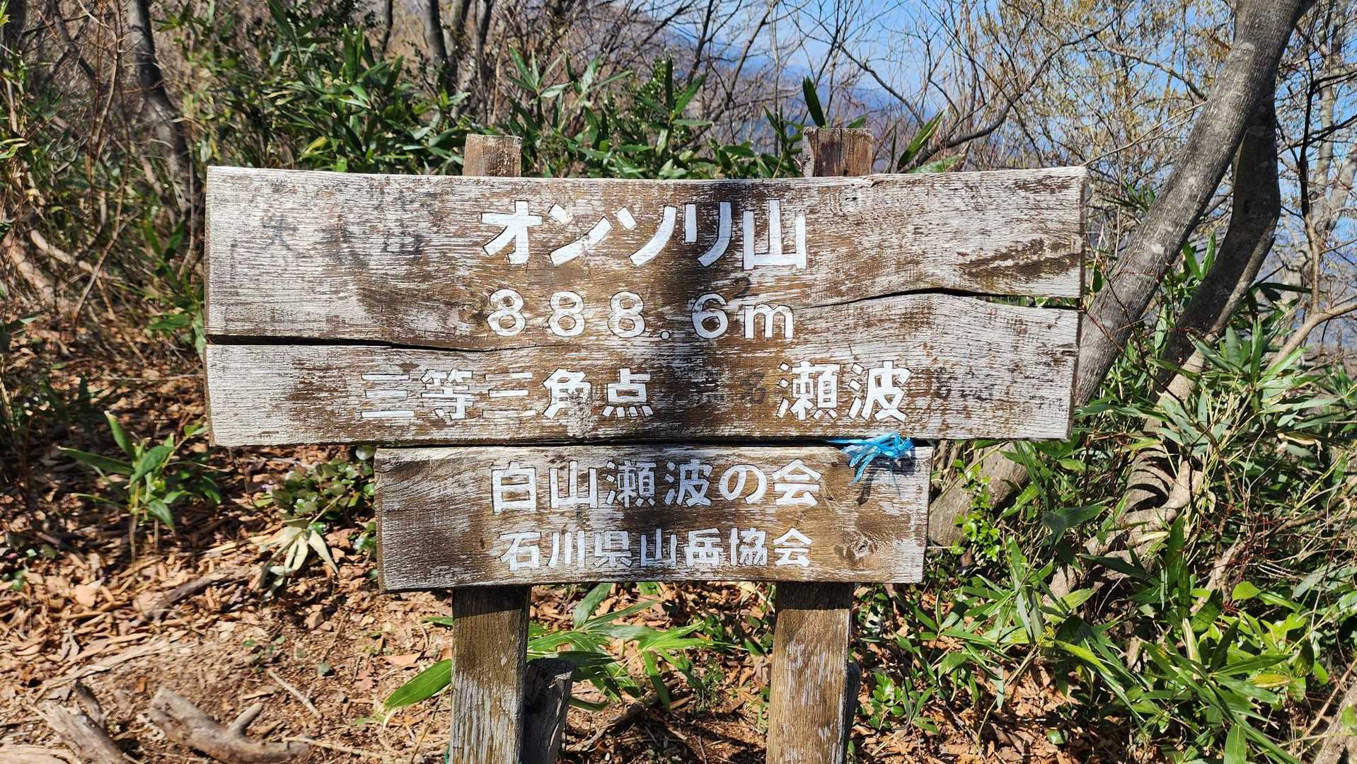 山頂ゲット👌