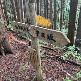 ❌なら行き先書くなよ。