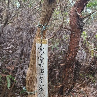 山名の由来は下の句らしい。
昔の歌人ではなく、整備された方が読んだ句。
一句がそのまま名前になっている珍しいパターンだね(笑)