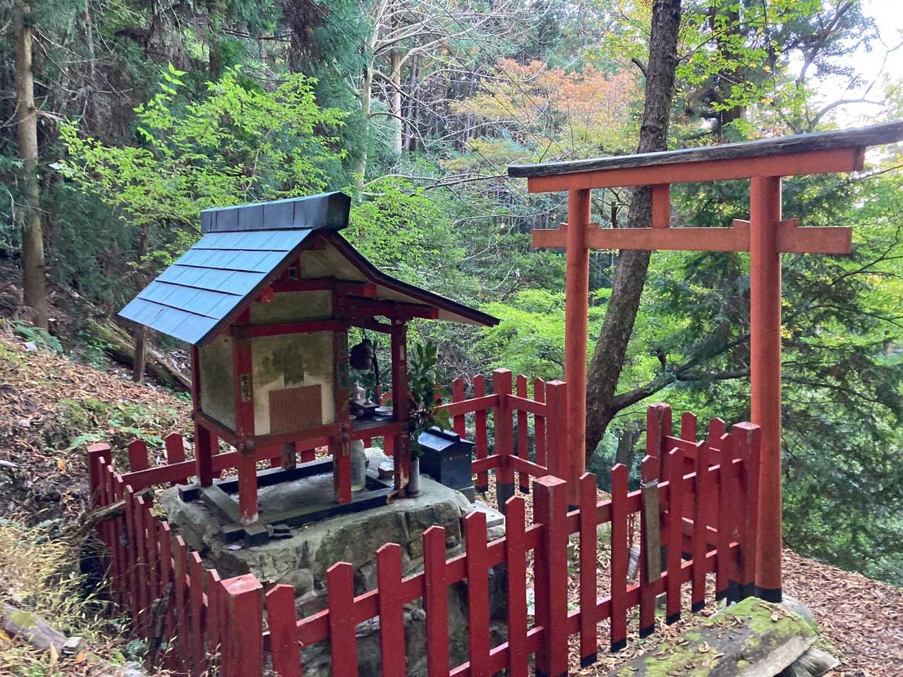 醍醐山-横嶺峠-高塚山 周回コースの写真