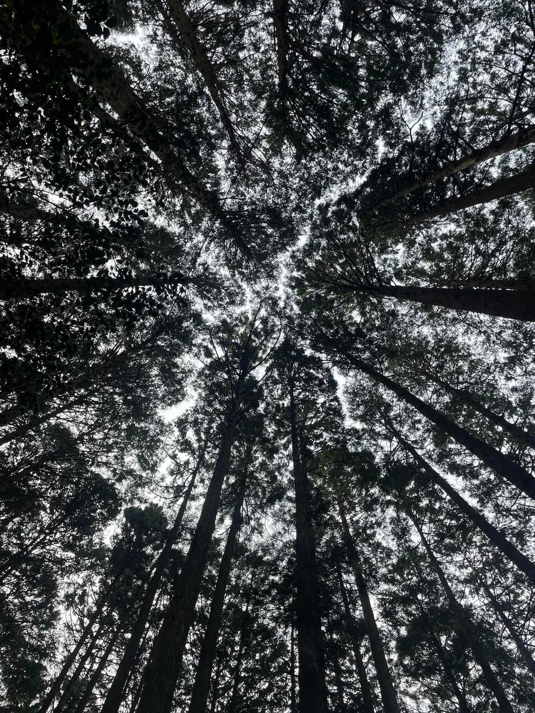 この景色が好き