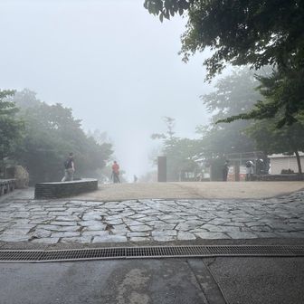 山頂はガラガラです。
これぐらいが快適です。