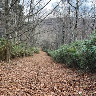 ギョギョギョェ😳

写真では伝わらないけど
結構な下り📐　上りじゃなくて良かった𐤔𐤔𐤔𐤔
道 間違えて良かった😆

