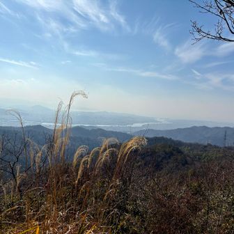 紀ノ川が近くなり和歌山湾も見えてきました