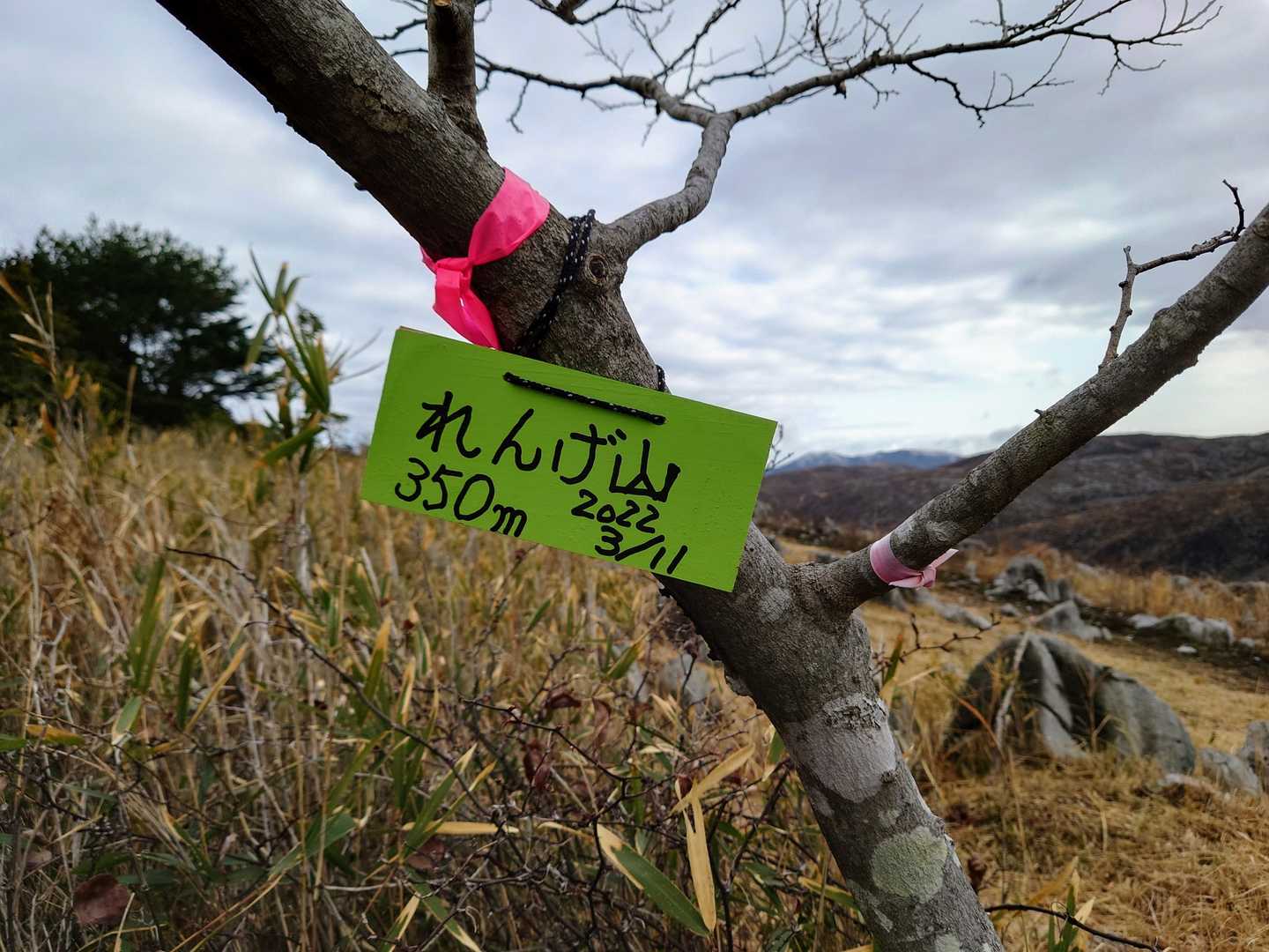 れんげ山山頂✨