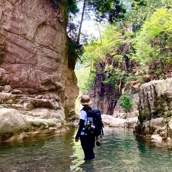 はーちゃん☺︎