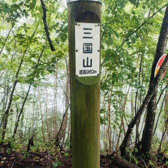 三国山(960m)到着です