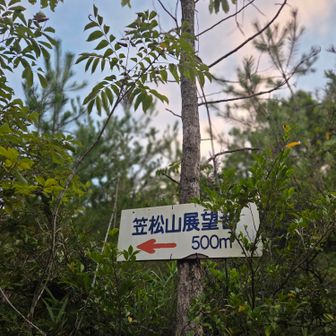 チャチャっと登ってこよう
