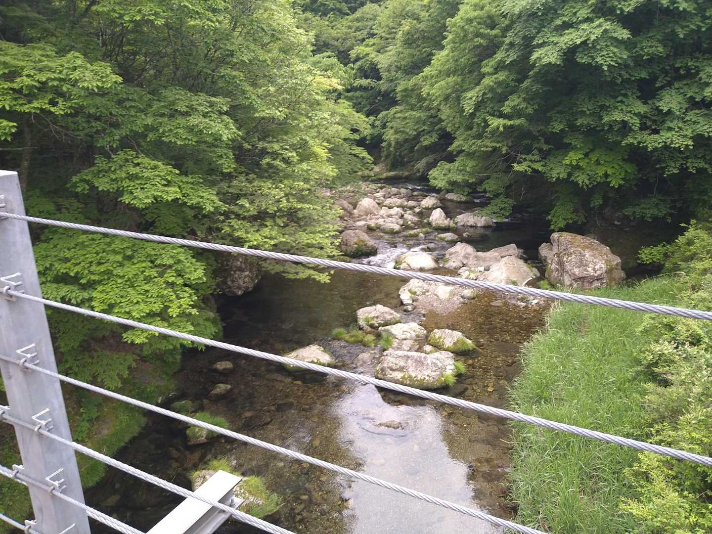 このキレイな渓流はみたらい渓谷に繋がっています
