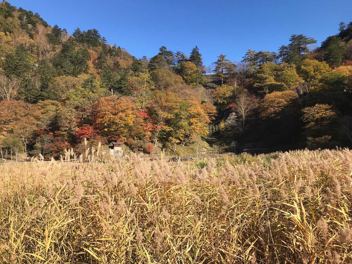 前白根山登り口 往復コースの写真
