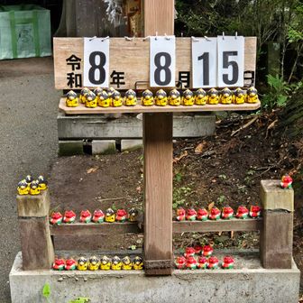 今日は捲らなくて良かった