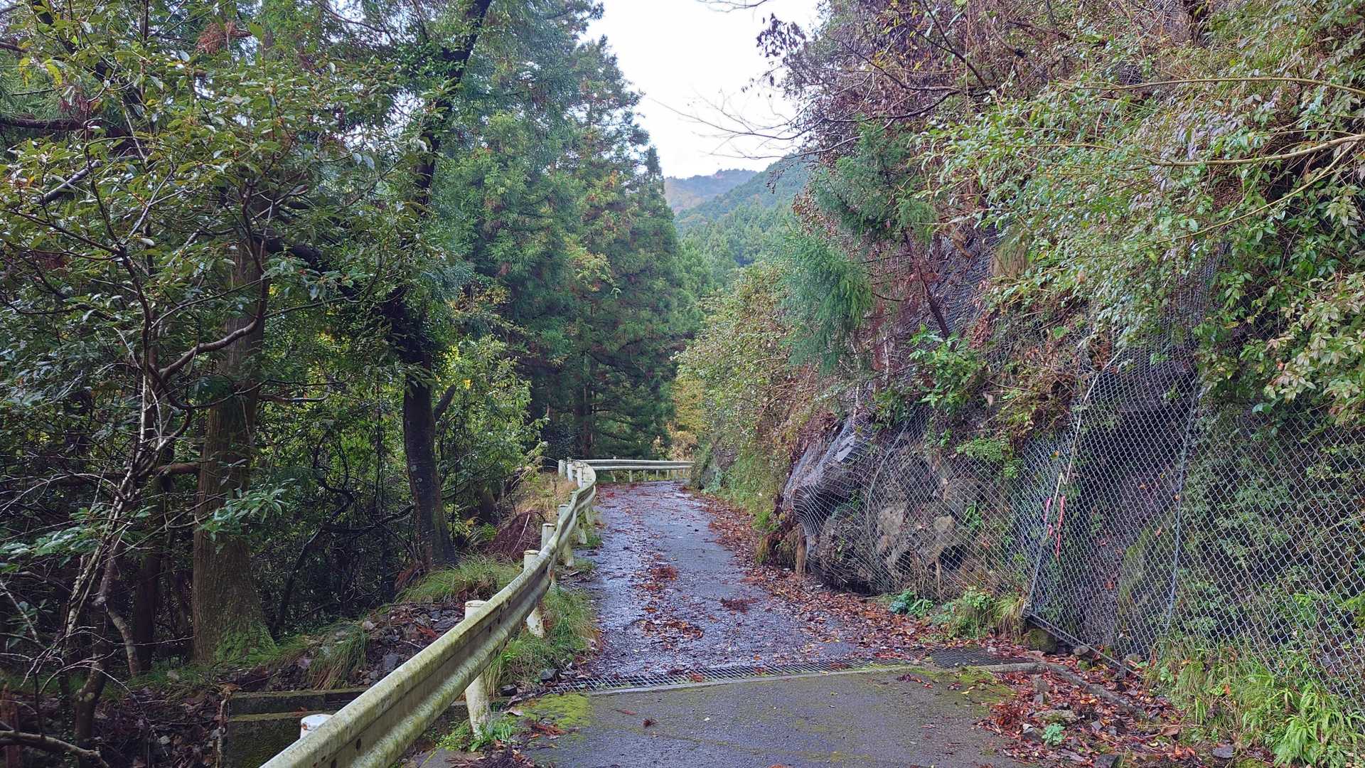 結構登山口までは距離があります　